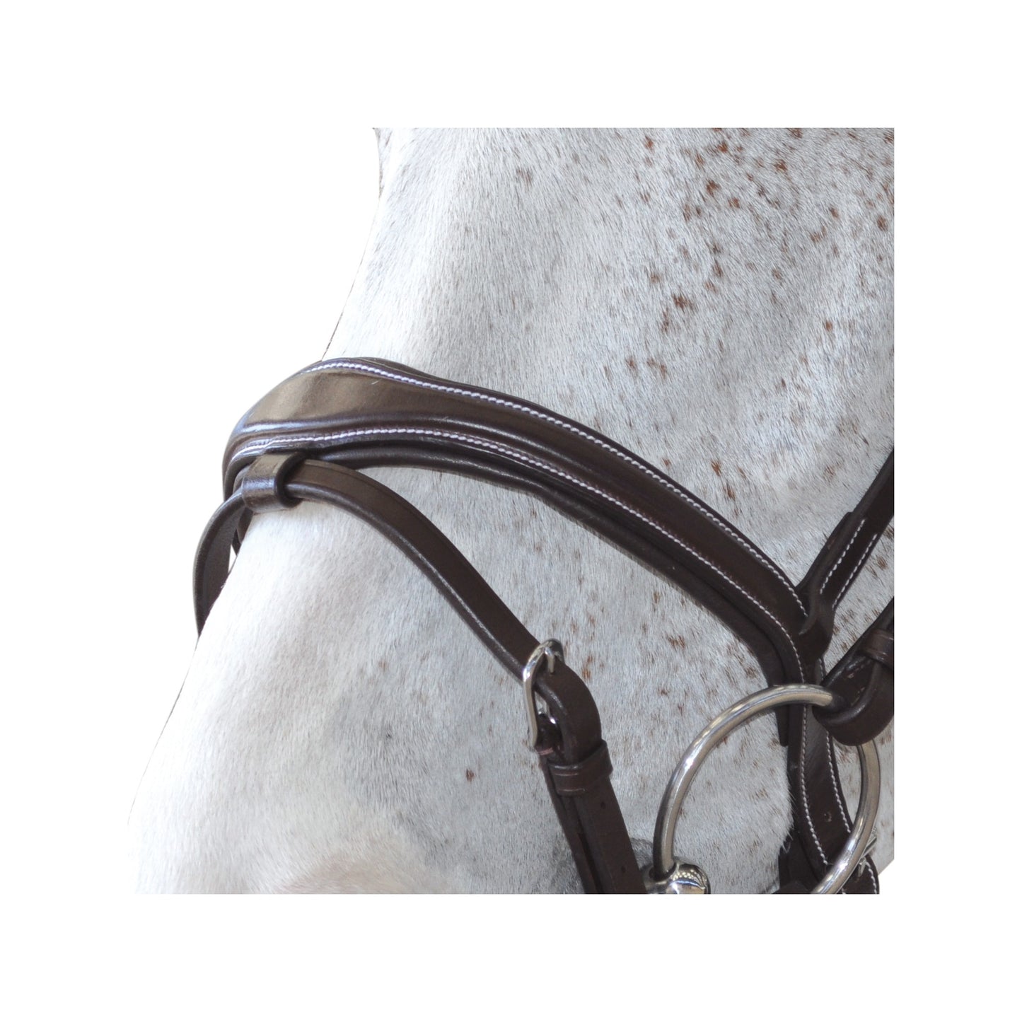 Privilège Équitation - Bridon Canter Ornella
