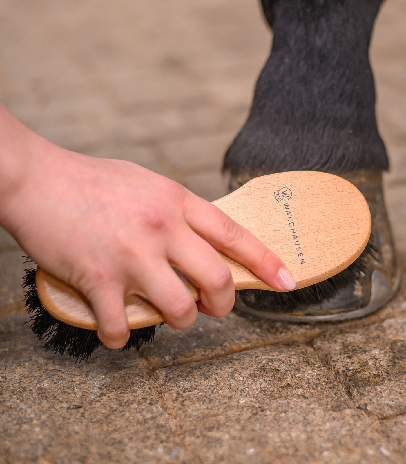 Waldhausen - Brosse à sabot Exclusive Line