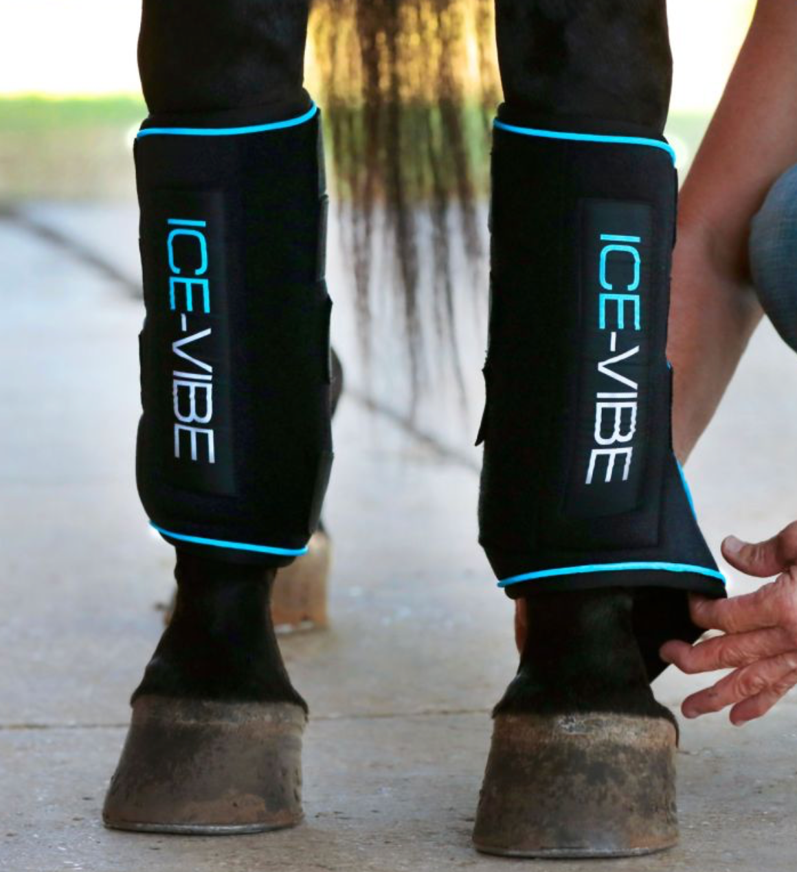 Horseware - Ice-Vibe