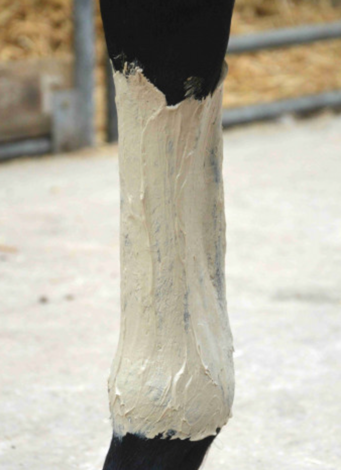 Pâte d'argile naturelle 10kg