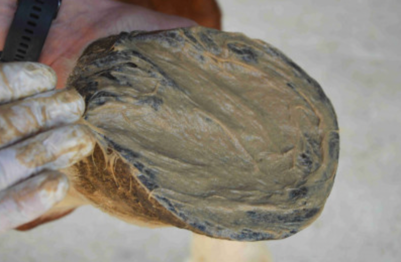Magic pieds 1kg
