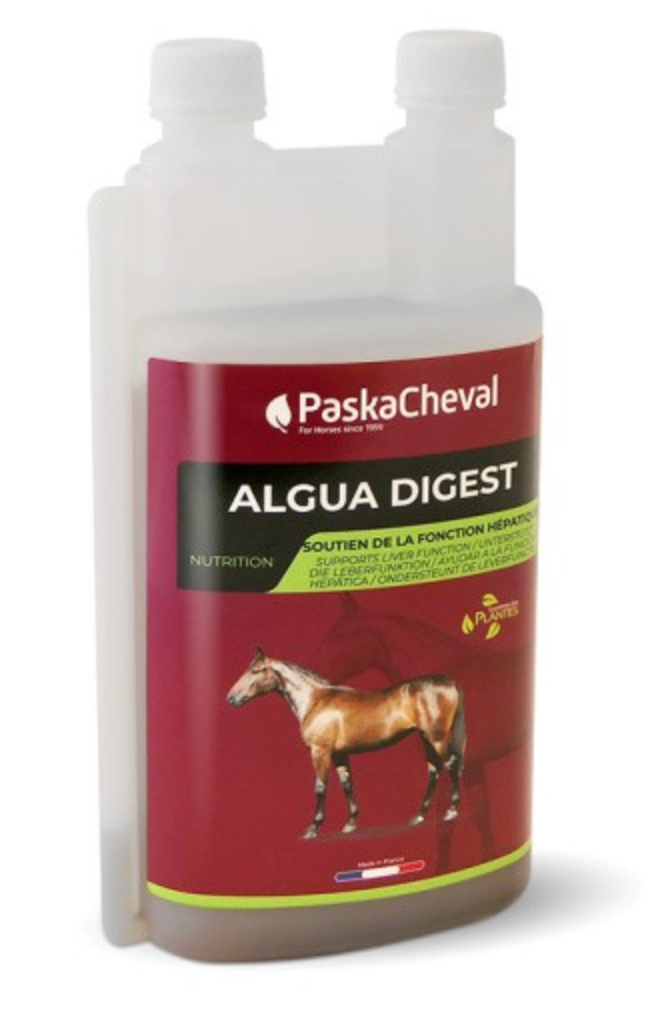 Algua Digest