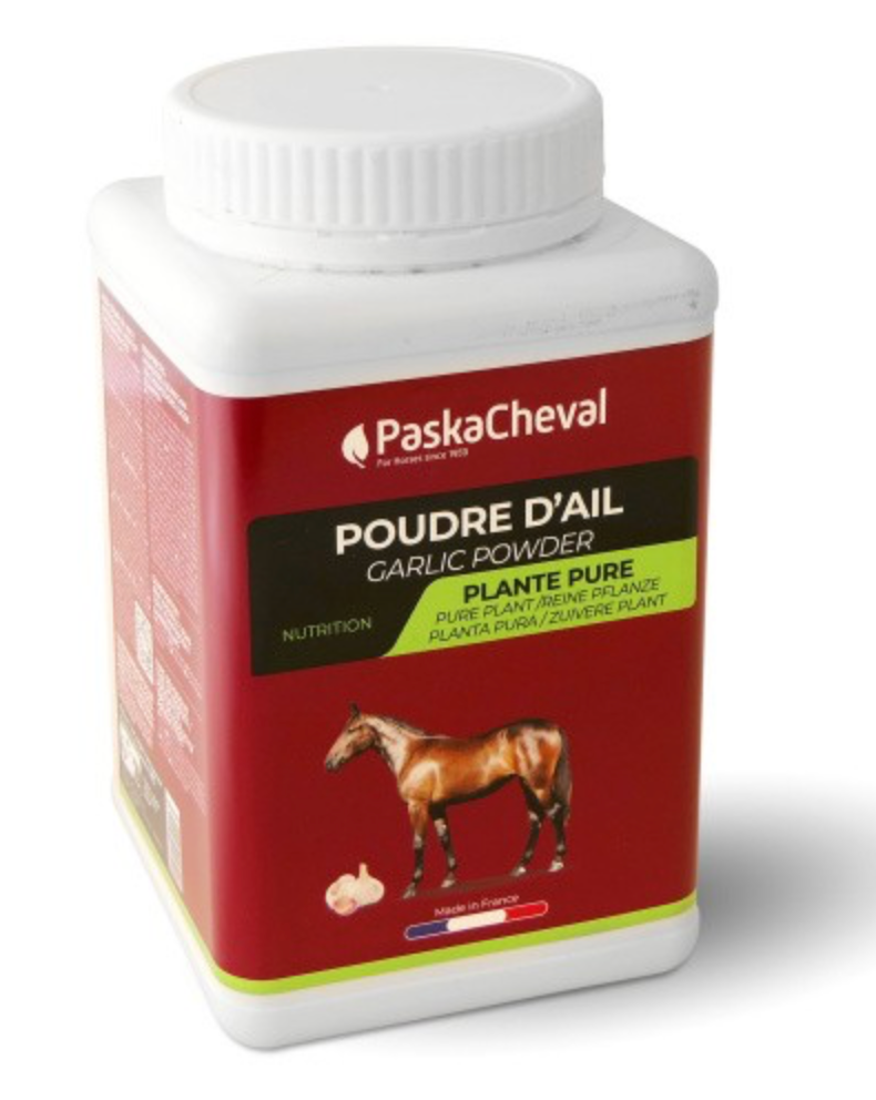 Poudre d'ail