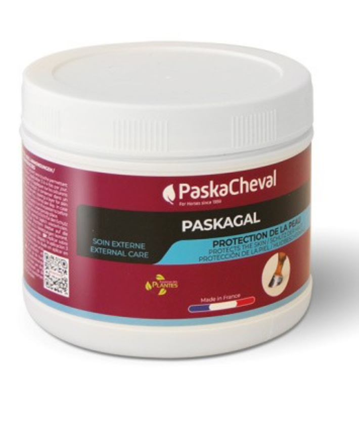 Paskagal