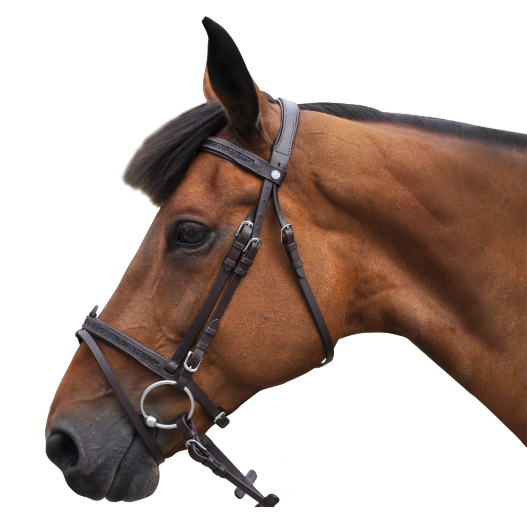 Bridon black Strass Canter