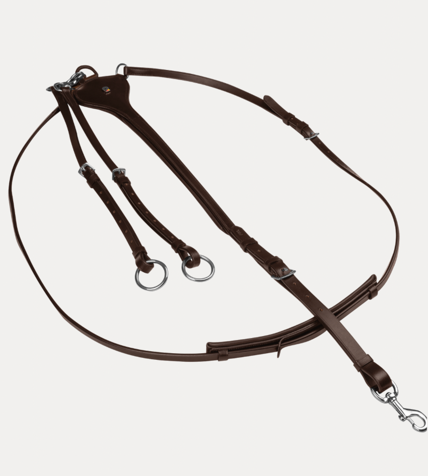 Waldhausen X-Line Martingale Professional