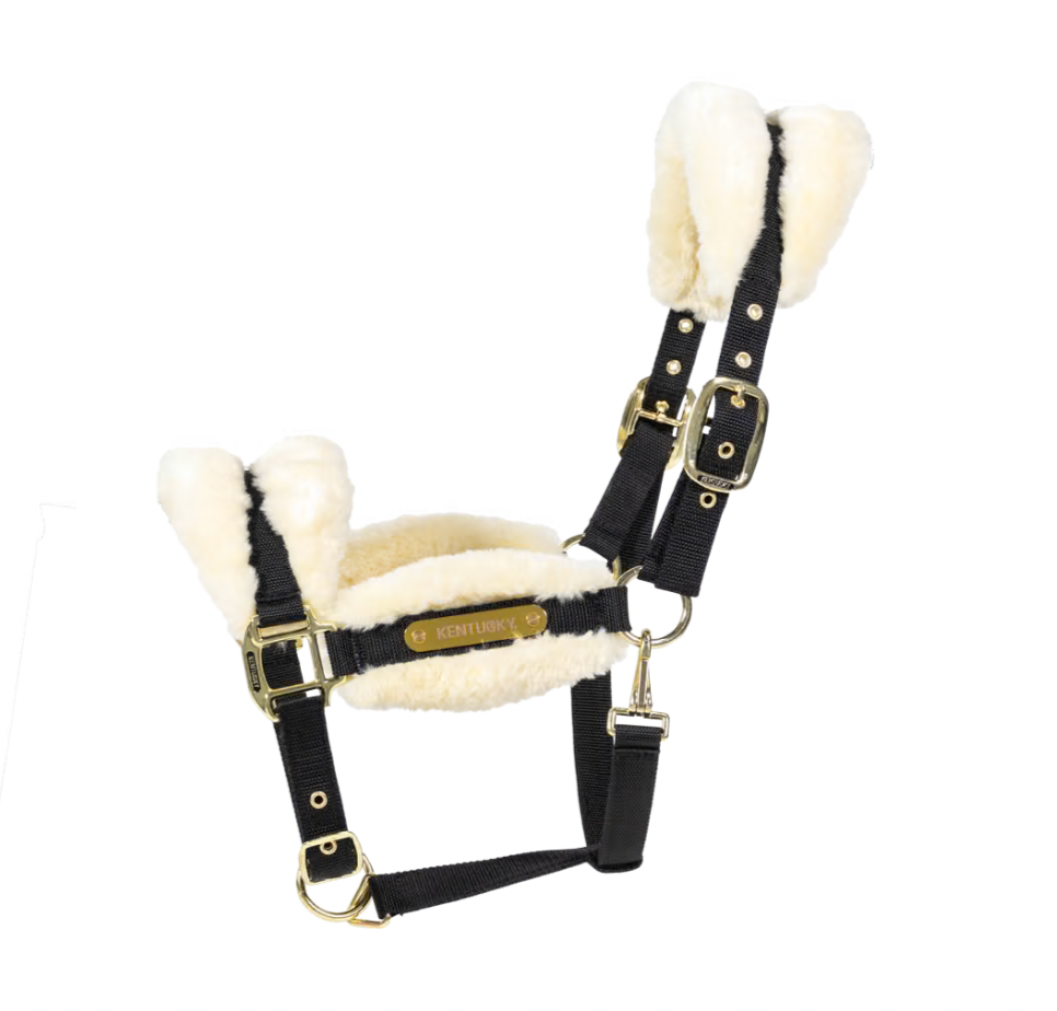 Licol Nylon mouton Soft