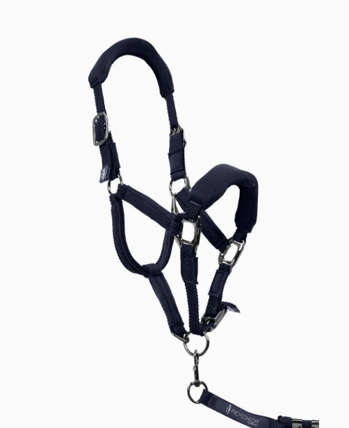Dorai Set Licol ergonomique en mesh et longe