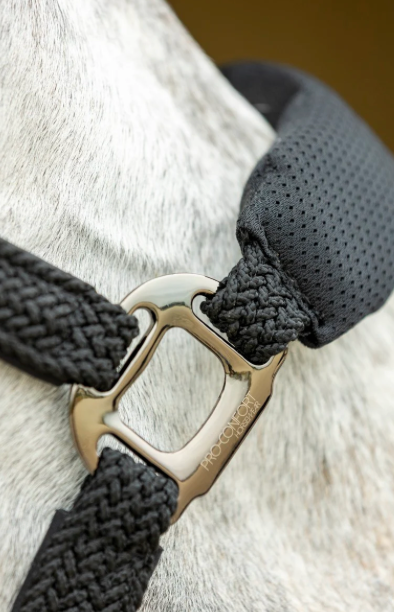 Dorai Set Licol ergonomique en mesh et longe