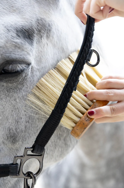 Dialou Licol de grooming