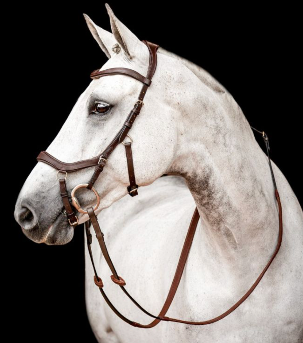 Horseware - Micklem 2