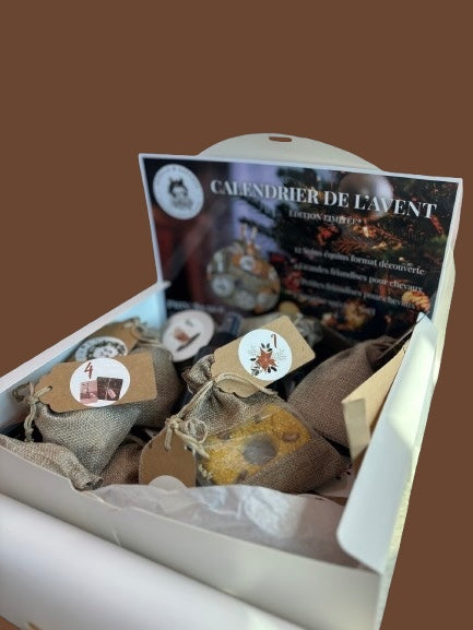 CALENDRIER DE L'AVENT - Achille et Xantos