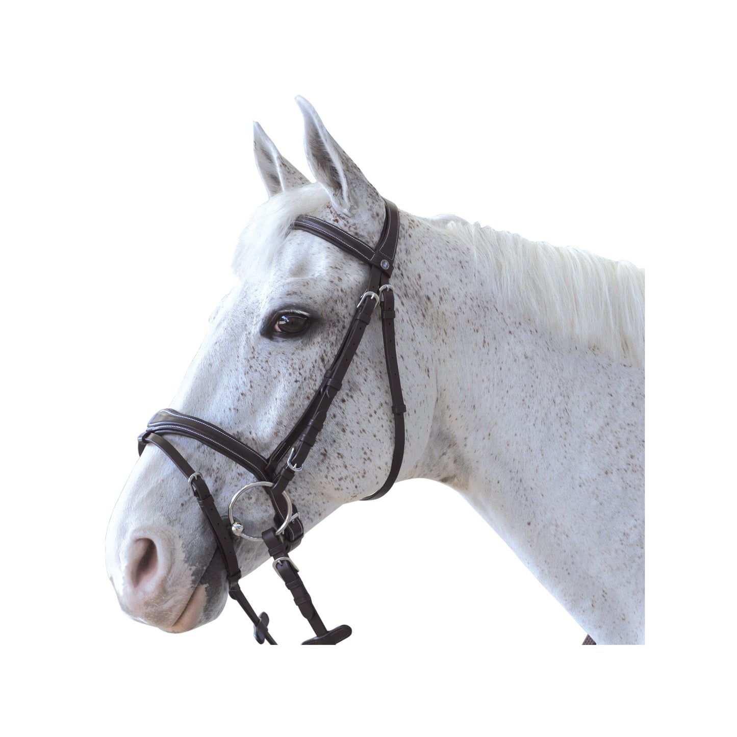Privilège Équitation - Bridon Canter Ornella
