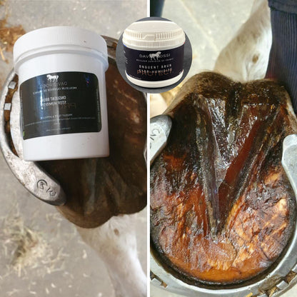 Onguent brun stop-humidité | PROTECT