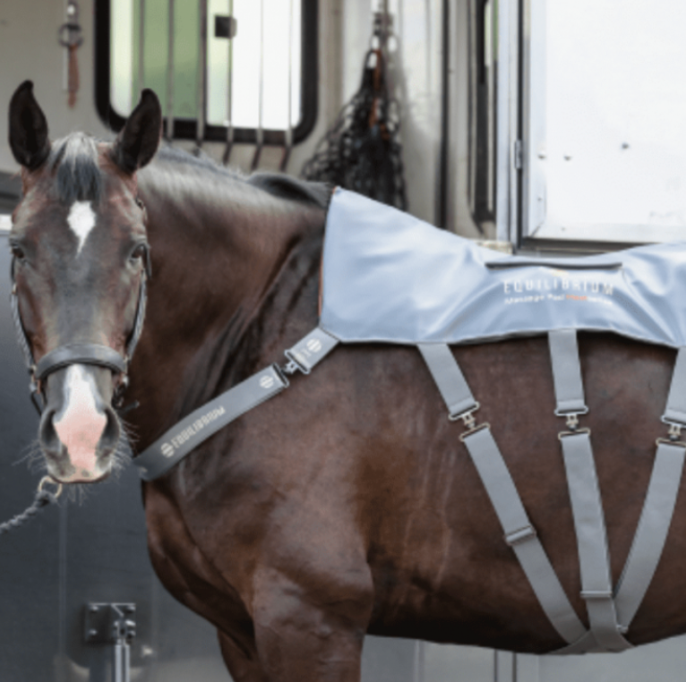 Equilibrium - Tapis de massage chauffant