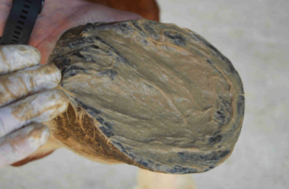 Magic pieds 500g