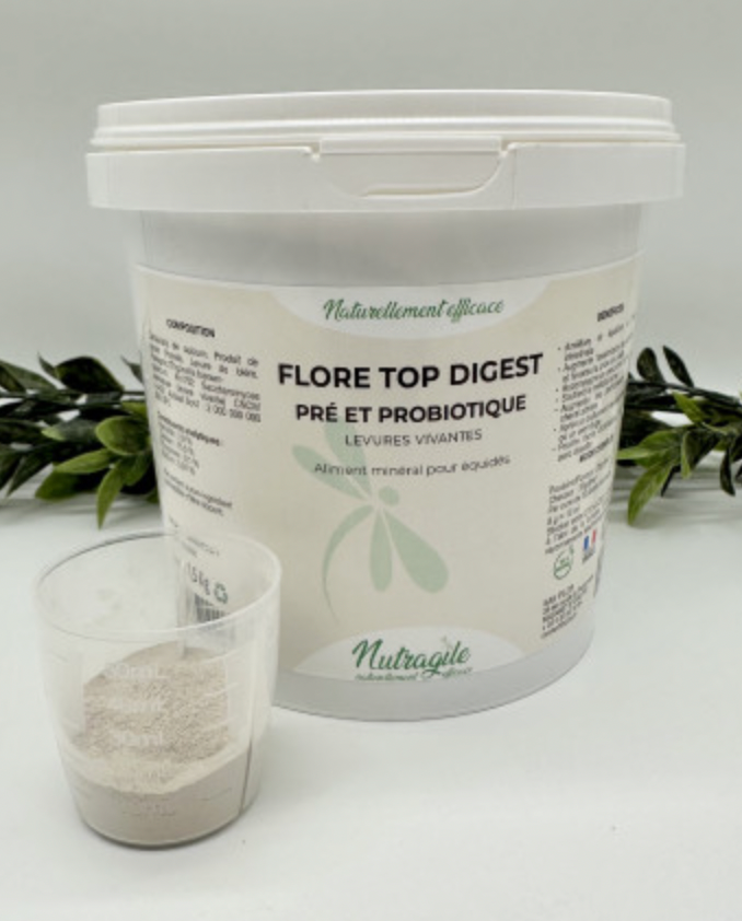 Flore Top Digest