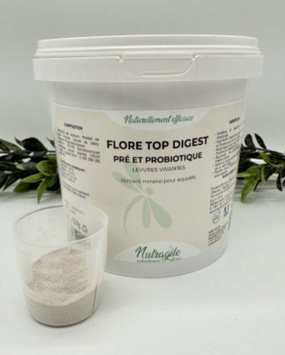 Flore Top Digest
