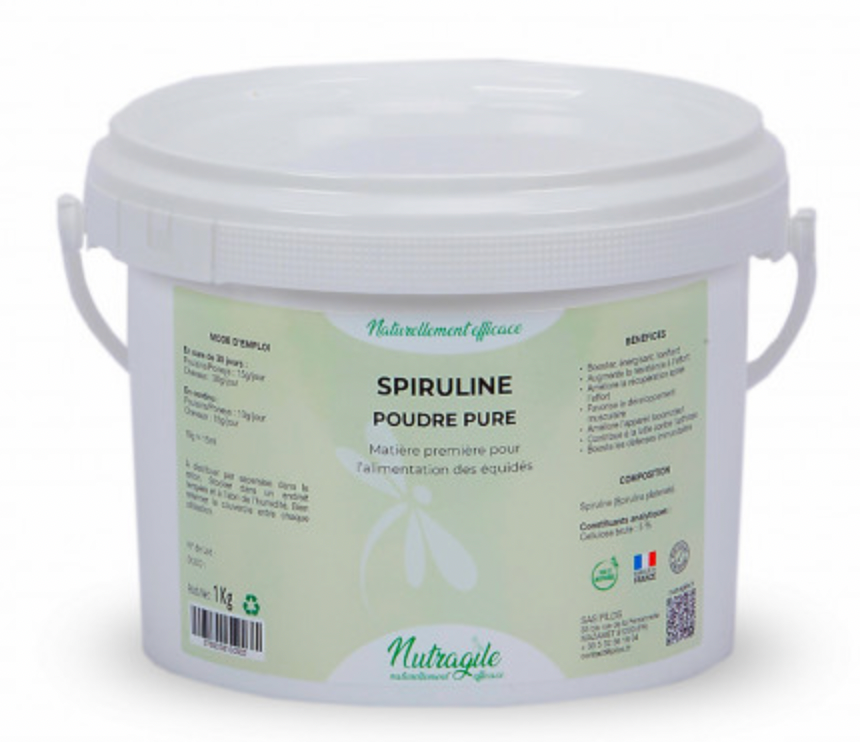 Spiruline Poudre