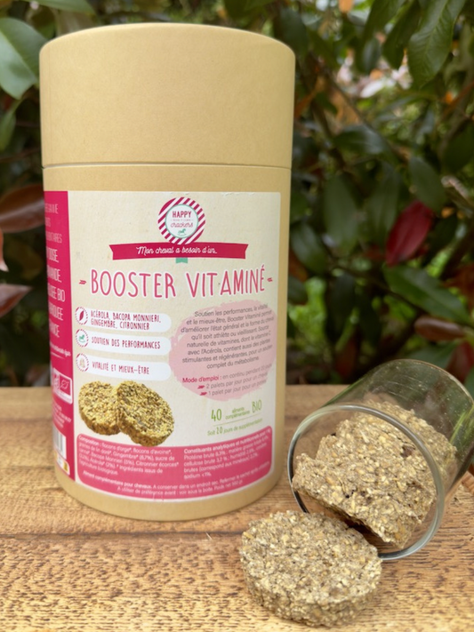 BOOSTER VITAMINÉ BIO
