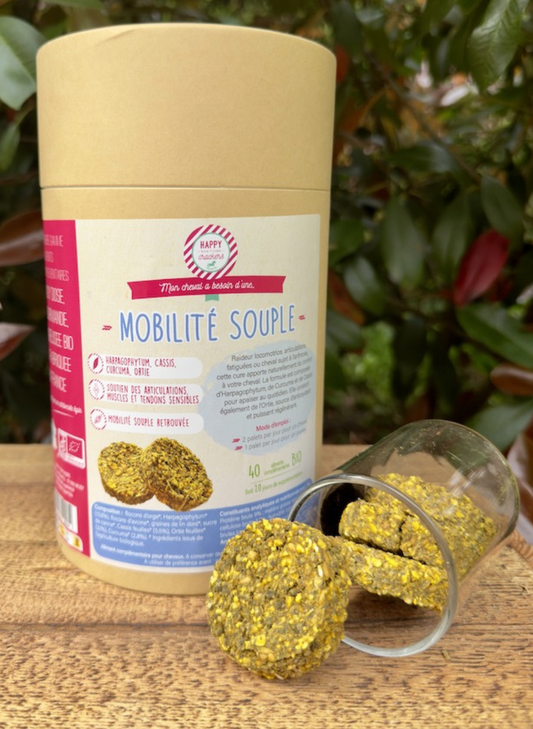 MOBILITE SOUPLE BIO