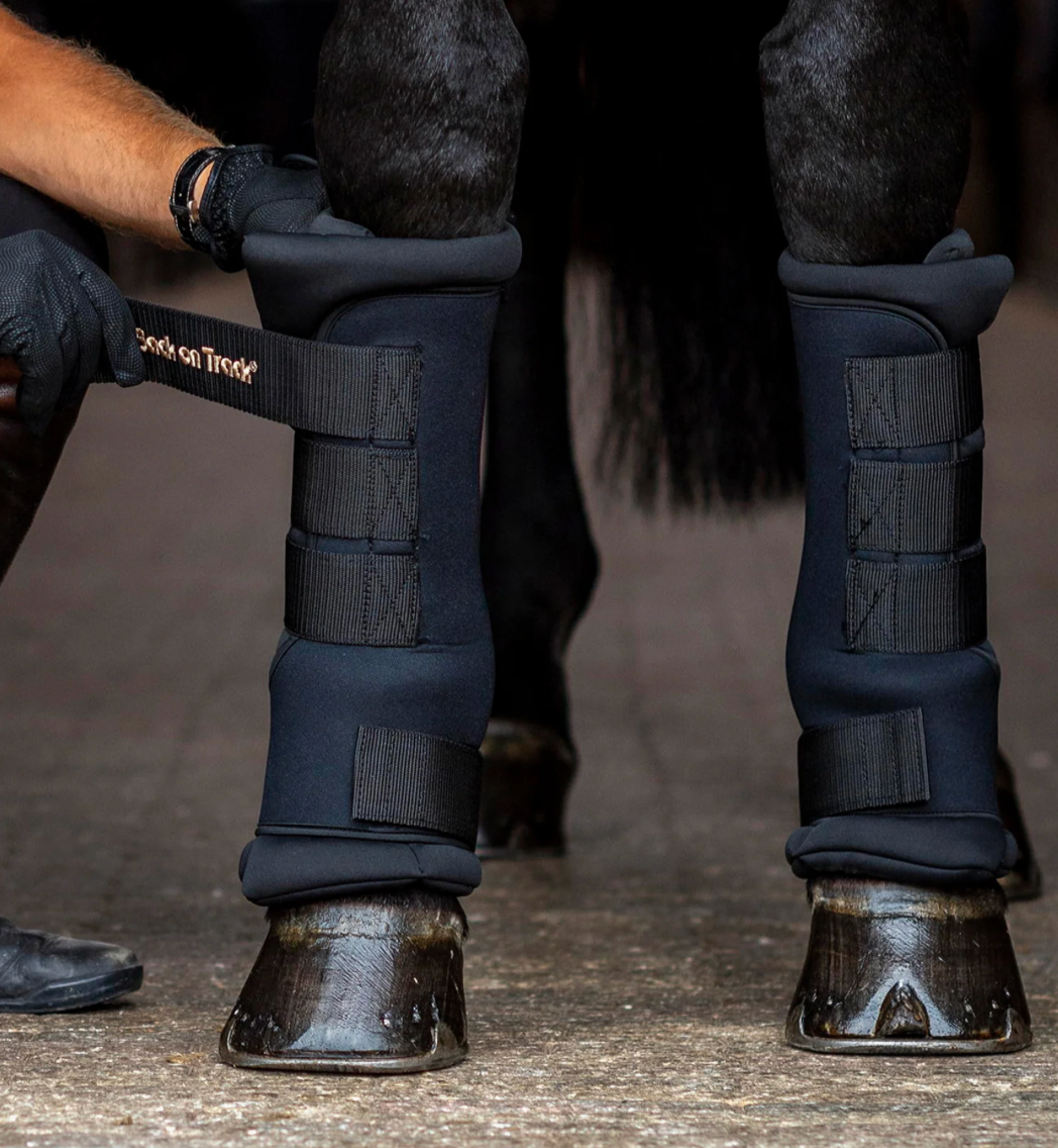 Stable Boots Royal