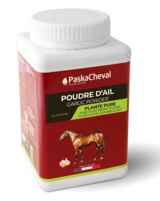 Poudre d'ail