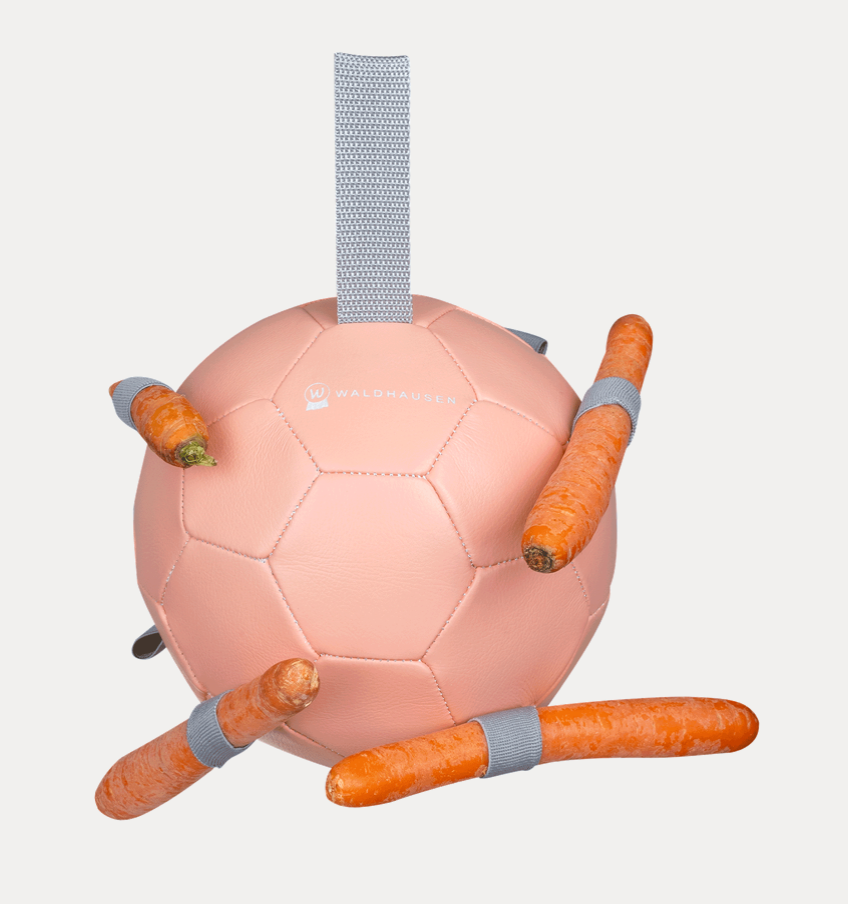 Balle à carottes