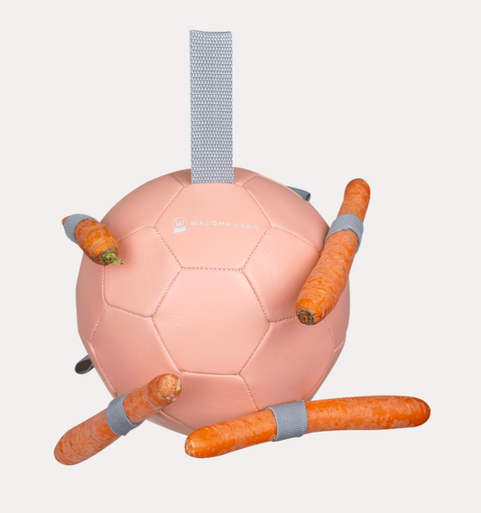Balle à carottes