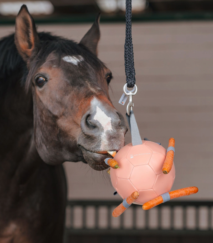 Balle à carottes