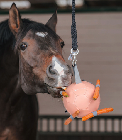 Balle à carottes