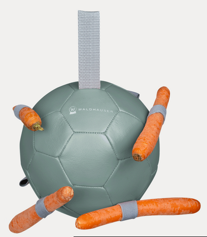 Balle à carottes