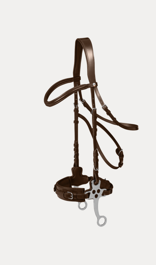 X-Line Bridon pour hackamore