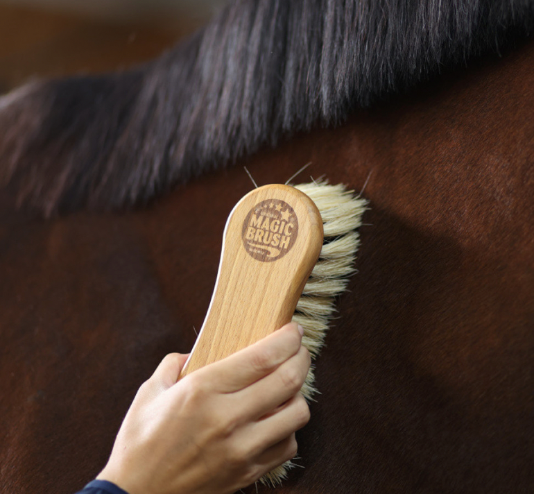 Brosse Soft Magic Brush