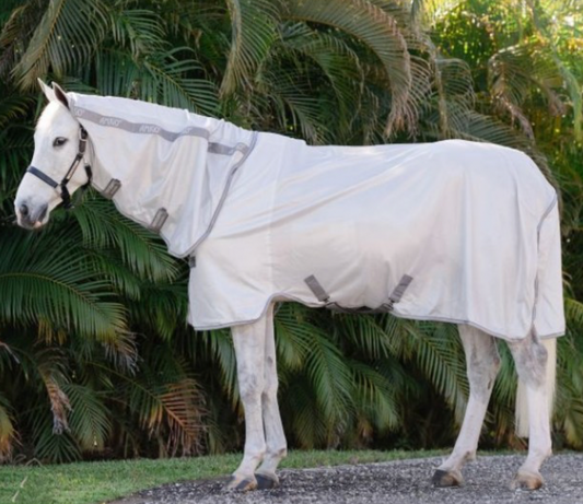 Horseware - All in one couverture