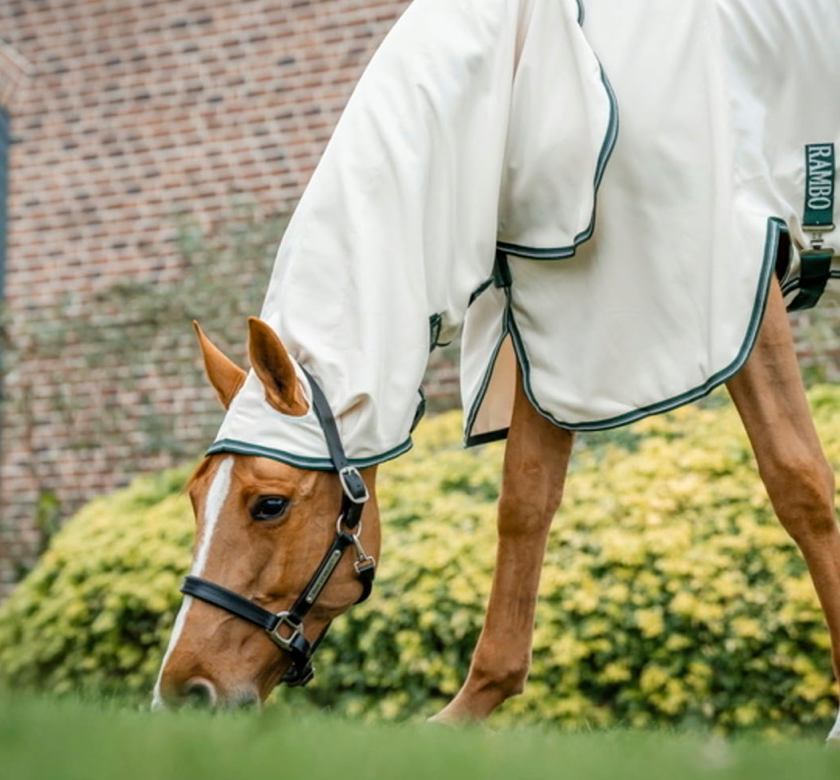 Horseware - Couverture Hoody