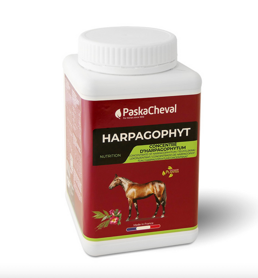 Paskacheval - Harpagophyt