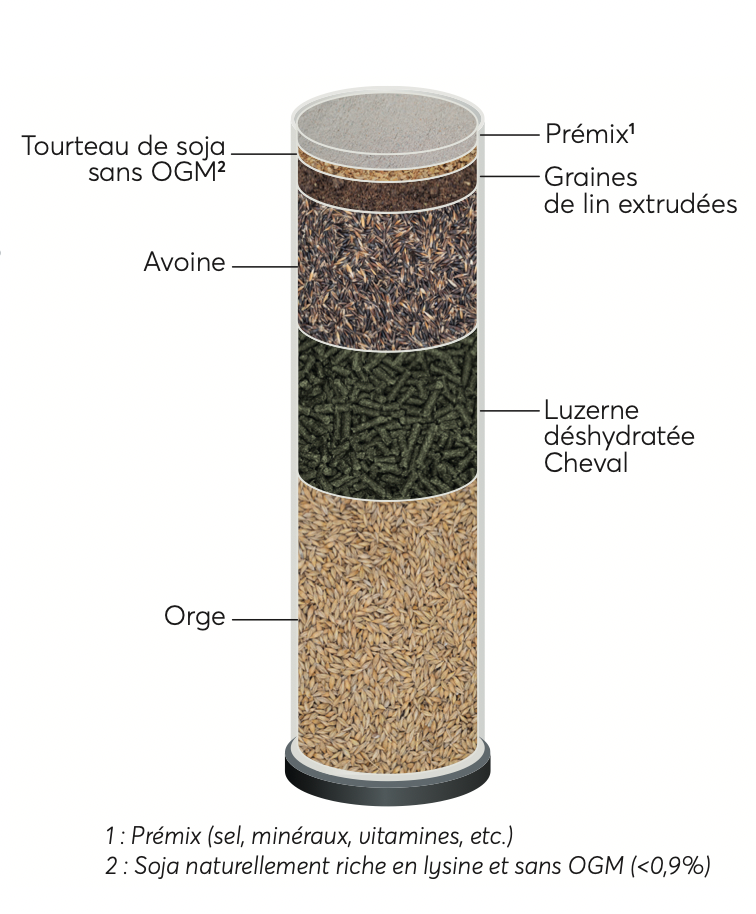 Reverdy - Adult Energy