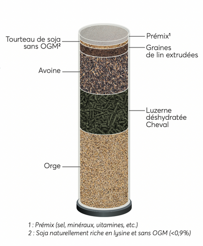 Reverdy - Adult Energy