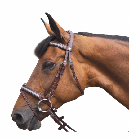 Privilège Equitation - Bridon Kitsi