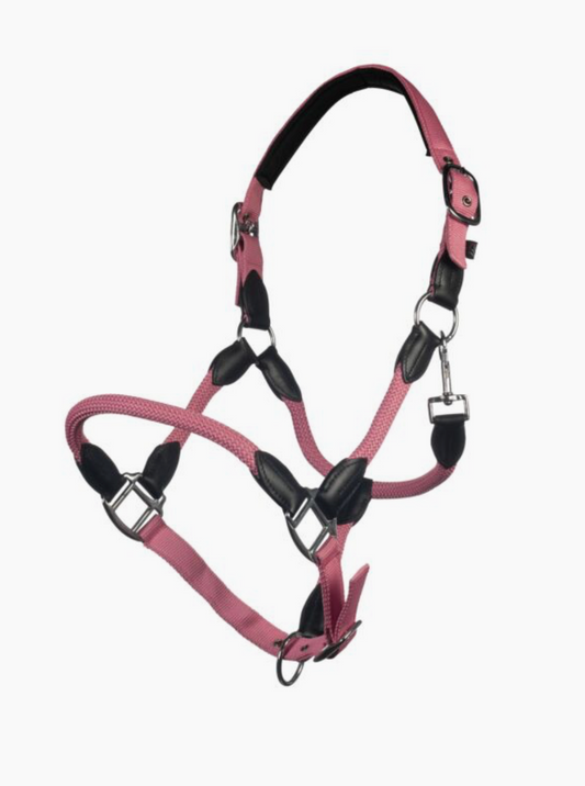 HKM - Licol Carlotta