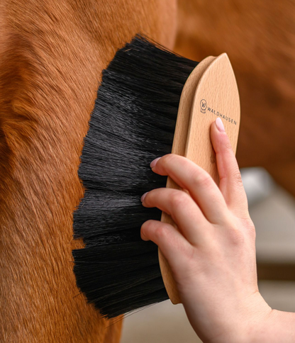 Waldhausen - Brosse à poussière Exclusive Line