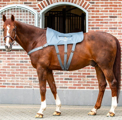 Equilibrium - Tapis de massage