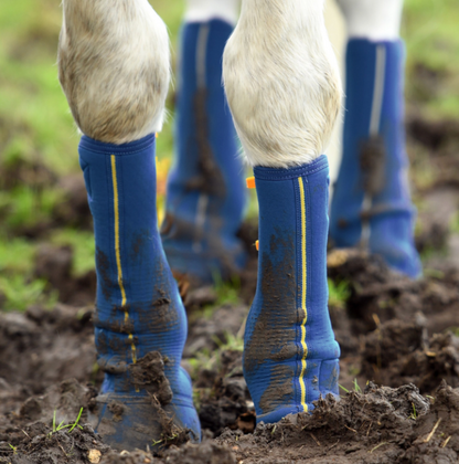 Privilège - Guêtres Equilibrium Close contact