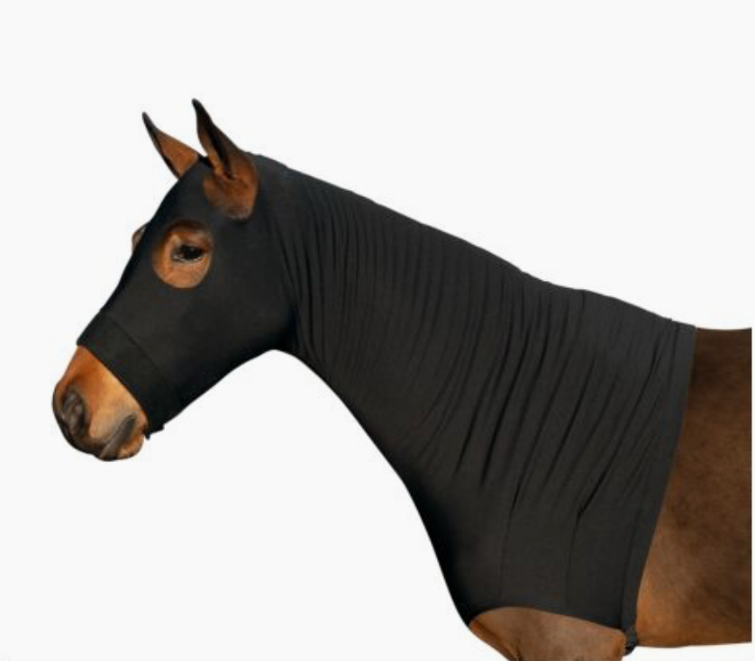 HKM - Protection Sleezy