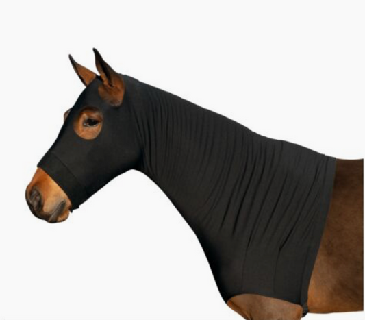 HKM - Protection Sleezy