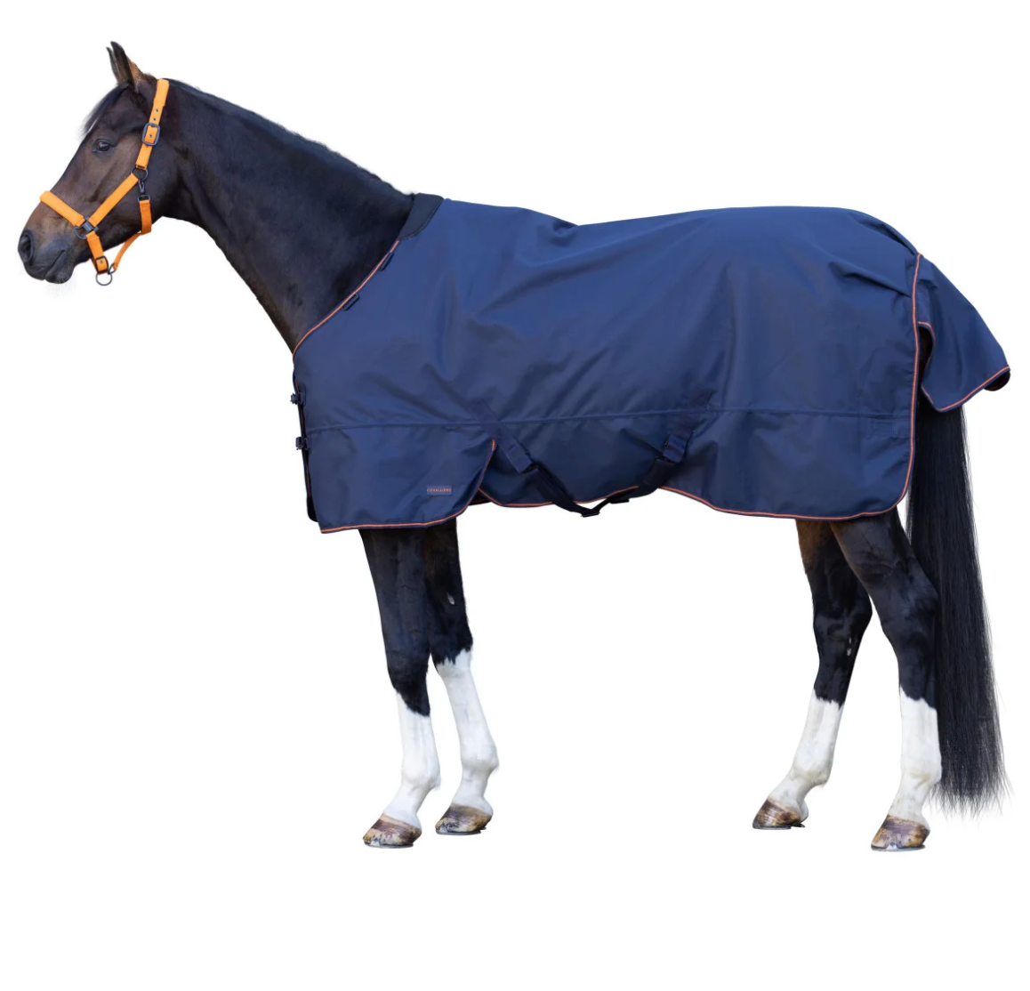 Covalliero - Couverture AH26 50g