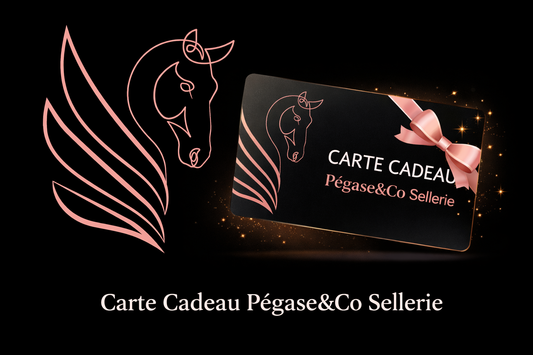 Carte Cadeau Pégase&co Sellerie
