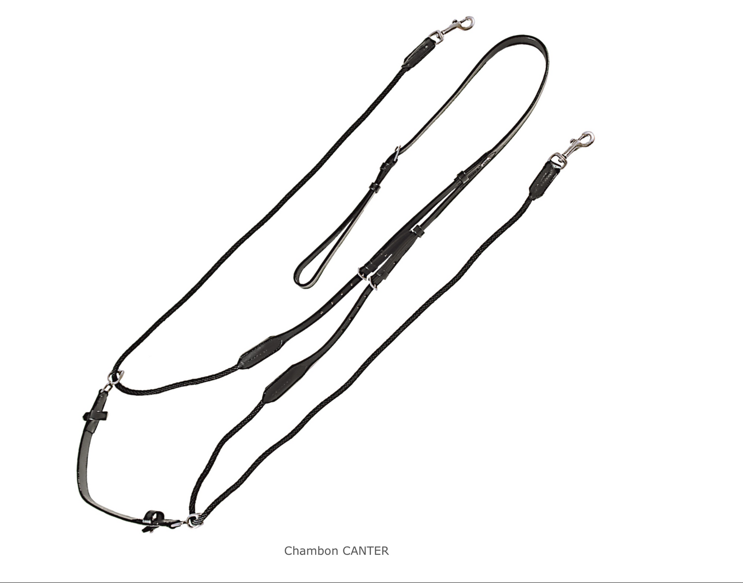 Privilège Equitation - Chambon Canter