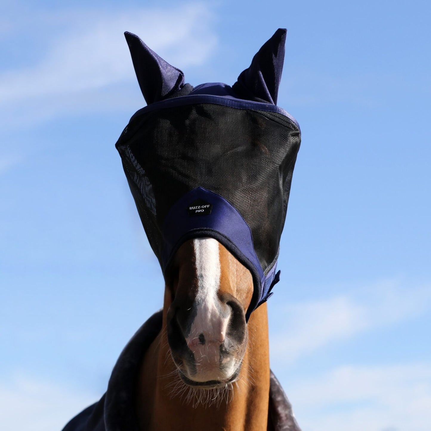 Bucas - Masque Buzz-off Pro
